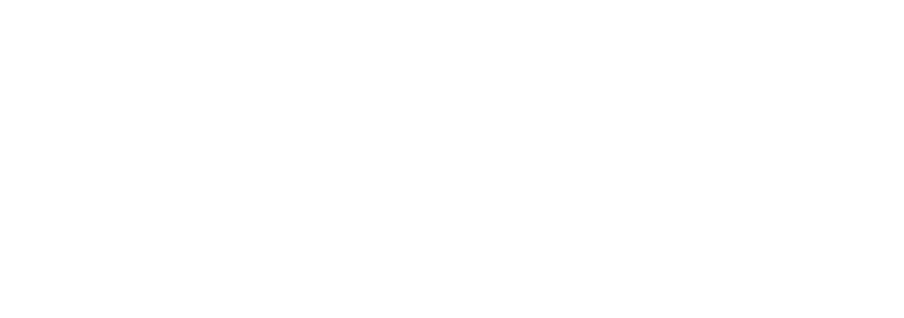 Rai Logo
